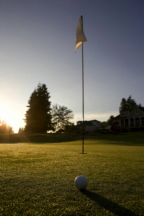 无人,体育馆,运动场,横图,室外,特写,白天,镜头眩光,广角镜头,成功,运动,日出,日落,别墅,旗帜,日光,高尔夫球,球洞,房屋,洞,球座,玩,体育场,高尔夫球场,草,树,绿色,夏天,休闲,健康,靶子,放松,财富,摄影,生活方式,宁静,高雅,愉悦,早晨,户外活动,高尔夫球棒,运动馆,无忧无虑,高尔夫球运动,休闲活动,彩图,全框架,bj175