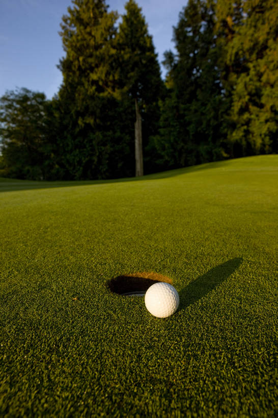 无人,体育馆,运动场,横图,室外,特写,白天,广角镜头,成功,运动,日出,日光,高尔夫球,球洞,洞,球座,玩,体育场,高尔夫球场,草,树,绿色,夏天,休闲,健康,靶子,放松,财富,摄影,生活方式,宁静,高雅,愉悦,早晨,户外活动,高尔夫球棒,运动馆,无忧无虑,高尔夫球运动,休闲活动,彩图,全框架,bj175