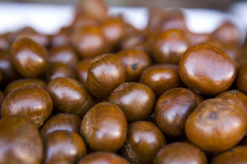 无人,横图,正面,静物,水果,堆叠,丰富,栗子,食品,坚果,褐色,饮食,摄影,堆,健康食物,彩图,bj175