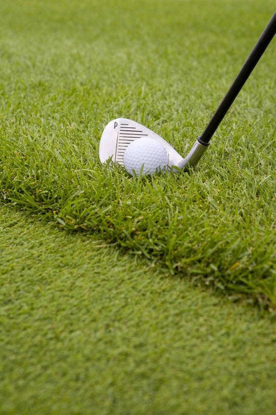 无人,竖图,俯视,室外,特写,白天,运动,草地,亚洲,挥杆,高尔夫球,瓷器,球洞,草,绿色,自然,休闲,放松,击打,高尔夫球杆,愉悦,剥落,爱好,户外活动,东亚,北京市,高尔夫球运动,休闲活动,彩图,高角度拍摄,bj175