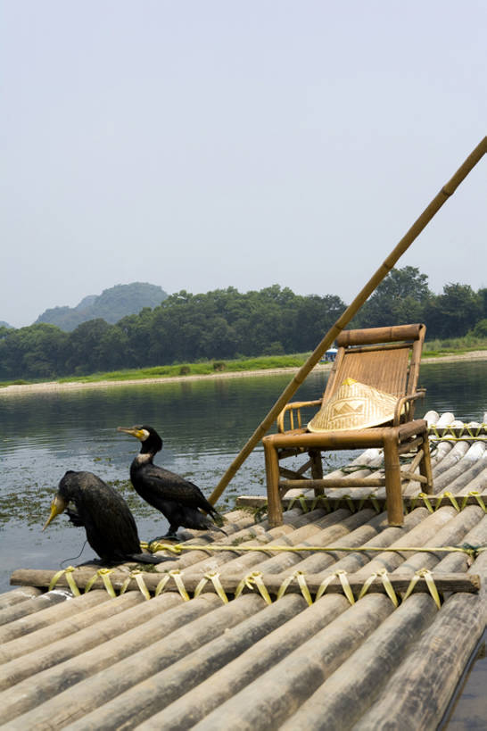 无人,竖图,室外,白天,正面,旅游,度假,湖,河流,美景,水,标志建筑,地标,建筑,船,竹子,鸟,椅子,桂林,中国,亚洲,一排,整齐,木制,材料,地形,景观,建筑群,运输工具,娱乐,建设,排列,风景,蓝天,天空,自然,动物,木制品,交通工具,两只,享受,休闲,景色,放松,摄影,宁静,环境,水禽,队列,中国文化,自然风光,载具,自然现象,东亚,东亚文化,漓江,木筏,罕见,水上交通工具,荒僻,偏僻,偏远,自然地理,冷僻,彩图,旅行,传统文化,bj175