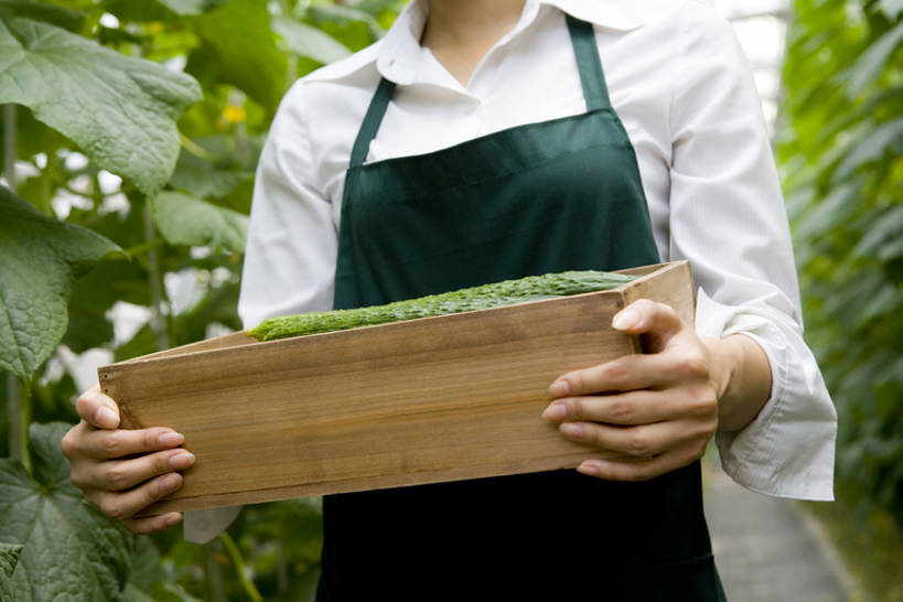 东方人,一个人,菜园,农场,横图,白天,农业,采摘,蔬菜,北京,中国,亚洲,仅一个年轻女性,仅一个女性,仅一个人,种植,木制,园艺,食品,温室,拿着,现代,饮食,盒子,夏天,健康,摄影,有机食品,生长,生活方式,收获,清新,爱好,酒箱,东亚,健康食物,年轻女性,女人,女性,亚洲人,中国人,年轻人,休闲活动,彩图,bj175