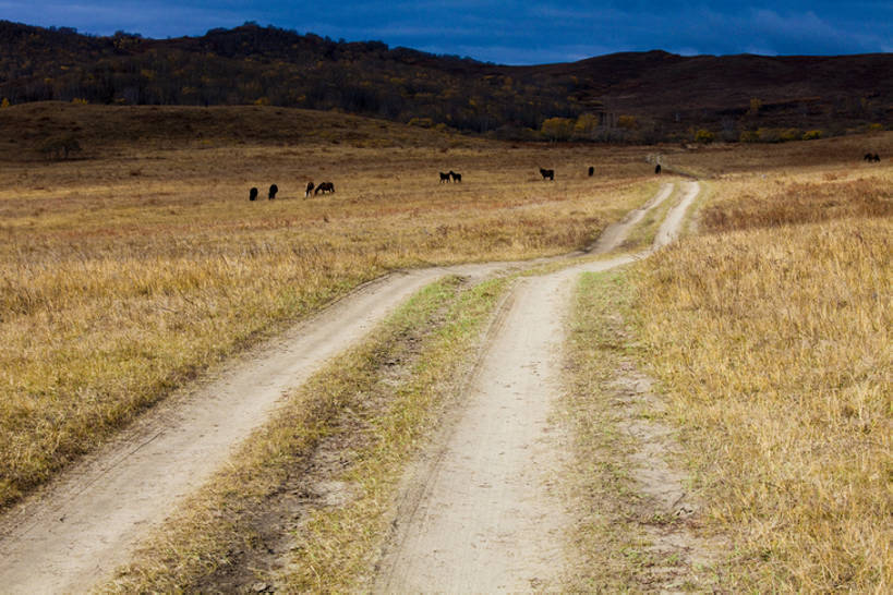 无人,吃,横图,室外,白天,旅游,度假,山,路,马,坝上,中国,亚洲,地形,娱乐,草,天空,自然,享受,休闲,放松,摄影,东亚,内蒙古,嚼,食,彩图,bj175