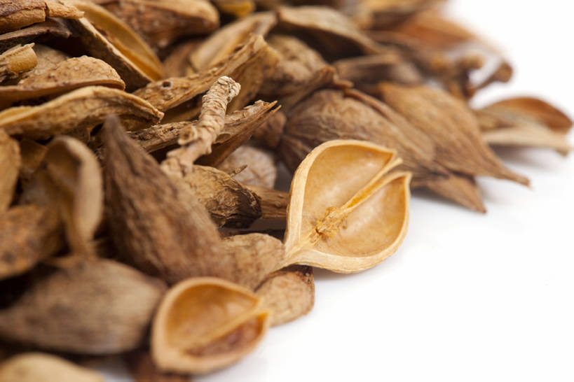 无人,横图,连翘,静物,北京,中国,亚洲,药,干燥,食品,草药,饮食,饮料,干花,摄影,有机食品,影棚,多样,医疗,中国文化,摄影棚,营养品,中医,东亚,健康食物,青翘,落翘,连壳,黄奇丹,黄花条,彩图,影棚拍摄,拍摄,传统文化,bj175