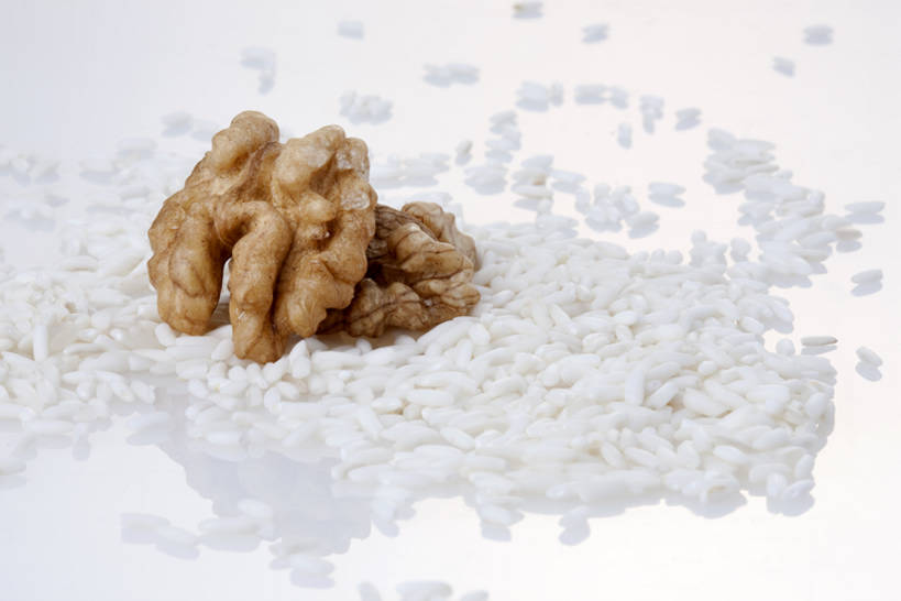 无人,横图,白色背景,静物,白米,谷物,食品,米,饮食,白色,摄影,影棚,摄影棚,胡桃,彩图,影棚拍摄,拍摄,bj175