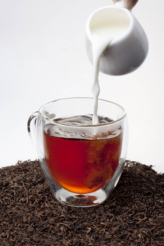 牛奶,无人,白色背景,茶,静物,玻璃,倒,材料,红茶,奶茶,茶叶,白色,健康,摄影,奶制品,加法,热饮,茶杯,彩图,影棚拍摄,bj175