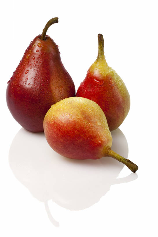 无人,竖图,室内,留白,白色背景,正面,梨,静物,水果,湿,反射,液体,水滴,食品,茎,干净,饮食,三个,白色,成熟,摄影,影棚,简单,清新,摄影棚,健康食物,纯净,彩图,全身,影棚拍摄,拍摄,亚洲梨,bj175