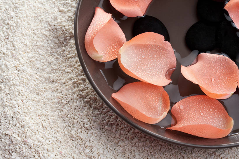 无人,美容院,横图,特写,留白,白色背景,按摩,化妆,美容,美景,静物,护肤,沙子,景观,水滴,花,花瓣,自然,盘子,保养,享受,休闲,健康,景色,放松,SPA水疗,保健,温泉浴场,摄影,影棚,医疗,简单,化妆用品,自然风光,摄影棚,华贵,纯净,养颜,替代疗法,矿泉疗养地,彩图,影棚拍摄,水疗,拍摄,SPA美容,bj175