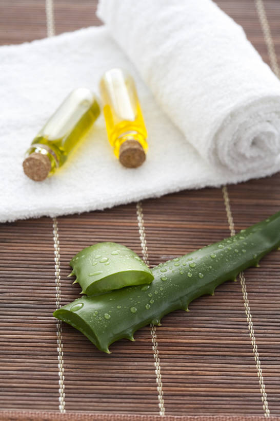 无人,美容院,竖图,特写,按摩,化妆,美容,美景,芦荟,静物,护肤,景观,自然,精油,毛巾,保养,享受,休闲,健康,景色,放松,SPA水疗,保健,温泉浴场,摄影,医疗,简单,化妆用品,自然风光,华贵,香薰精油,纯净,养颜,替代疗法,植物精油,芳香植物,芳香油,挥发油,香精油,矿泉疗养地,彩图,水疗,SPA美容,bj175