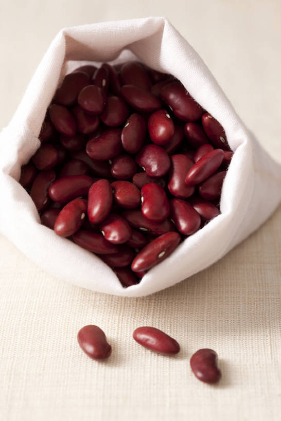 无人,竖图,特写,豆,静物,许多,干燥,食品,很多,饮食,素食,清新,健康食物,彩图,bj175