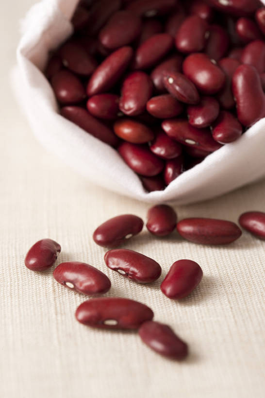 无人,竖图,特写,豆,静物,许多,干燥,食品,很多,饮食,素食,清新,健康食物,彩图,bj175