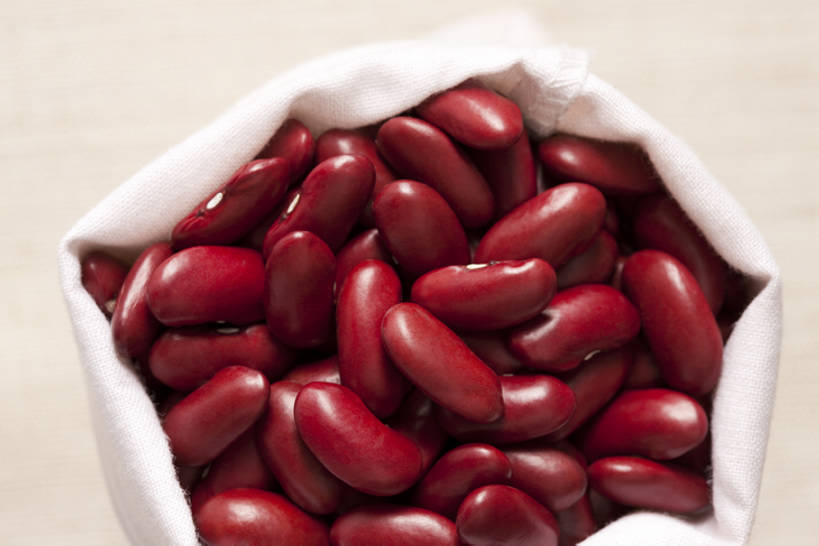 无人,横图,特写,豆,静物,许多,干燥,食品,很多,饮食,素食,清新,健康食物,彩图,bj175