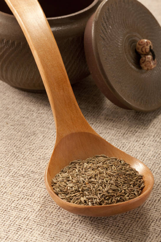 无人,竖图,特写,留白,静物,许多,干燥,香料,食品,很多,饮食,孜然芹,彩图,bj175