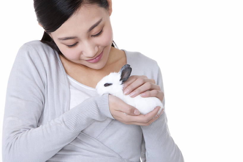 成年人,一个人,微笑,横图,白色背景,正面,快乐,幸福,纯洁,宠物,北京,中国,亚洲,休闲装,一只,可爱,童年,童趣,摄影,影棚,生活方式,享乐,摄影棚,童真,东亚,东亚人,烂漫,无邪,爱抚,家兔,柔和,天真,年轻女性,女人,亚洲人,中国人,年轻人,触摸,半身,彩图,影棚拍摄,爱,深情,拍摄,bj175