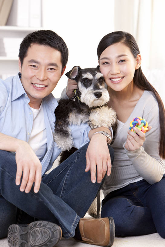 成年人,中年人,两个人,家庭,夫妻,家,客厅,坐,笑,微笑,露齿笑,竖图,室内,正面,爱情,游戏,快乐,幸福,纯洁,宠物,狗,玩具,北京,中国,亚洲,梗犬,浪漫,玩,注视,休闲装,娱乐,苏格兰梗,亚伯丁梗,一只,动物,观察,看,休闲,健康,温暖,温馨,一家人,恩爱,可爱,乐趣,童年,童趣,搭,恋人,摄影,生活方式,观看,活动,和睦,察看,起居室,享乐,搭着,发泄,关注,消遣,智力,肖像,童真,东亚,东亚人,烂漫,无邪,髯犬,陪同,忠诚,宣泄,陪伴,异性恋,天真,男人,年轻女性,女人,中年男性,亚洲人,中国人,年轻人,夫妇,情侣,休闲活动,犬,玩耍,嬉戏,拥抱,彩图,全身,爱,深情,愉快,伴侣,融洽,伴随,bj175