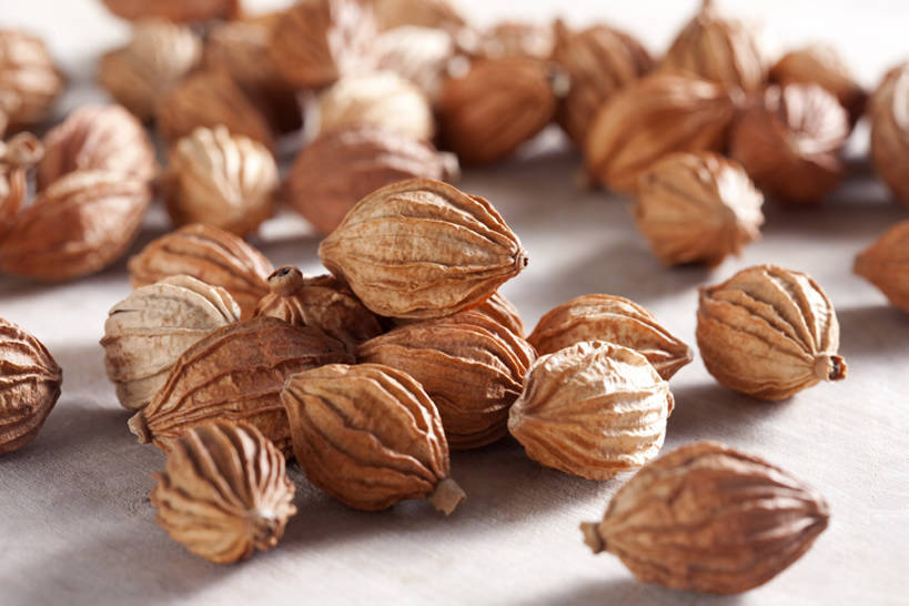 无人,横图,静物,中国,亚洲,许多,准备,堆叠,丰富,干燥,材料,调料,香料,食品,草药,药草,调味品,很多,饮食,健康,摄影,中医,东亚,彩图,影棚拍摄,砂仁,成分,bj175