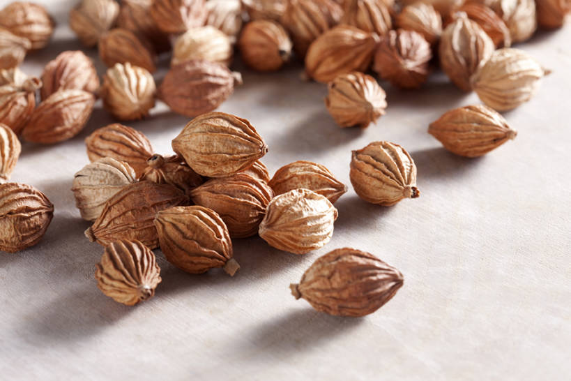 无人,横图,静物,中国,亚洲,许多,准备,堆叠,丰富,干燥,材料,调料,香料,食品,草药,药草,调味品,很多,饮食,健康,摄影,中医,东亚,彩图,影棚拍摄,砂仁,成分,bj175