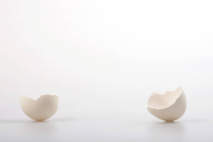 无人,横图,留白,白色背景,静物,开,鸟类,摄影,影棚,孵化,创造力,脆弱,摄影棚,卵,想法,开端,彩图,影棚拍摄,拍摄,bj175