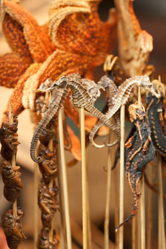 点心,无人,竖图,特写,壁虎,蝉,海星,静物,北京,中国,亚洲,丰富,昆虫,油炸,美味,食品,饮品,串,货摊,小吃,饮食,餐饮,竹签,食物,特产,饮料,中国菜,零售,诱惑,摄影,多样,海马,风格,简单,可口,蝗虫,中国文化,选择,东亚,羊肉串,东亚文化,取食签,零售店,适口,烤串,海产,彩图,传统文化,街市,bj175