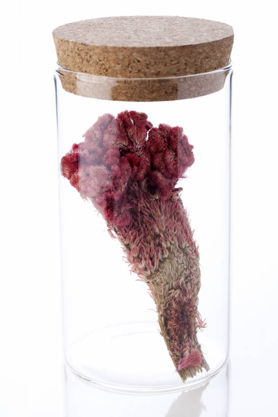 无人,竖图,白色背景,静物,玻璃,北京,中国,亚洲,反射,材料,草药,药草,软木塞,传统,花,自然,瓶子,干花,健康,瓶盖,摄影,有机食品,鸡冠花,医疗,简单,草本,中国文化,干的,中医,东亚,替代疗法,彩图,影棚拍摄,传统文化,成分,bj175