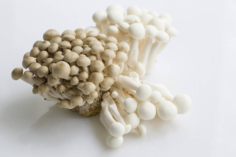 无人,横图,特写,留白,抠图,蔬菜,静物,北京,中国,亚洲,准备,灰色背景,丰富,材料,蘑菇,生食,美味,食品,饮品,营养,饮食,餐饮,食物,饮料,健康,素食,食用菌,摄影,有机食品,维生素,真菌,膳食,可口,清新,东亚,健康食物,姬菇,适口,蟹味菇,彩图,影棚拍摄,白玉菇,bj175