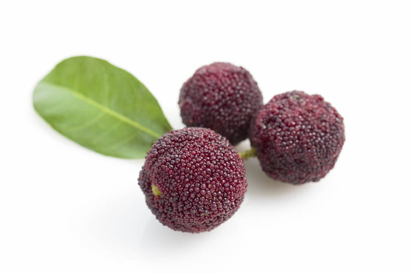 无人,横图,特写,留白,抠图,白色背景,静物,水果,北京,中国,亚洲,美味,食品,饮品,营养,饮食,树叶,食物,饮料,红色,健康,素食,成熟,酸,摄影,杨梅,有机食品,维生素,可口,清新,东亚,健康食物,适口,彩图,影棚拍摄,bj175