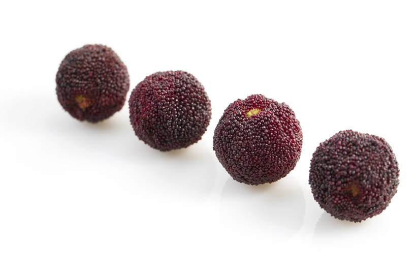 无人,横图,特写,留白,抠图,白色背景,静物,水果,北京,中国,亚洲,一排,整齐,美味,食品,饮品,营养,饮食,食物,饮料,排列,红色,四个,健康,素食,成熟,酸,摄影,杨梅,有机食品,维生素,队列,可口,清新,东亚,健康食物,适口,彩图,影棚拍摄,bj175