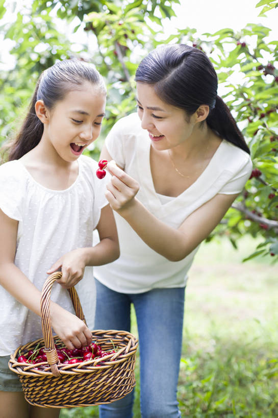 东方人,儿童,成年人,两个人,家庭,父母,母亲,女儿,果园,农场,站,笑,吃,微笑,露齿笑,竖图,室外,白天,正面,旅游,度假,快乐,幸福,纯洁,合作,农业,采摘,美景,植物,樱桃,水果,北京,日光,中国,亚洲,连接,弯腰,握,短裤,工作,篮子,景观,园艺,食品,果树,饮品,樱桃树,休闲装,娱乐,饮食,农庄,树,树叶,食物,饮料,小孩,红色,绿色,自然,夏天,站着,张嘴,享受,休闲,健康,温暖,温馨,母女,一家人,面对面,短袖,景色,成熟,放松,季节,可爱,亲密,童年,童趣,喂,握着,摄影,有机食品,生长,生活方式,收获,环境,和睦,享乐,关爱,可口,清新,自然风光,亲情,户外活动,张大嘴巴,童真,东亚,烂漫,无邪,健康食物,陪同,适口,陪伴,无忧无虑,天真,男孩,男人,男性,年轻女性,女孩,女人,女性,亚洲人,中国人,孩子,年轻人,张开嘴,站立,彩图,欢乐,融洽,男生,伴随,bj175