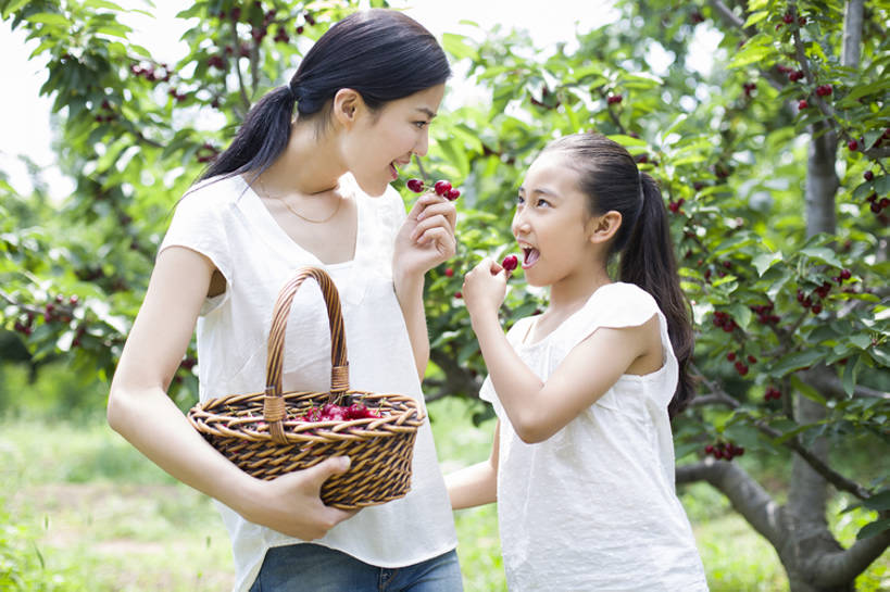 东方人,儿童,成年人,两个人,家庭,父母,母亲,女儿,果园,农场,站,笑,吃,微笑,露齿笑,横图,室外,白天,正面,旅游,度假,快乐,幸福,纯洁,合作,农业,采摘,美景,植物,樱桃,水果,北京,中国,亚洲,连接,握,工作,篮子,景观,园艺,美味,食品,果树,饮品,樱桃树,休闲装,娱乐,饮食,农庄,树,树叶,食物,饮料,小孩,红色,绿色,自然,夏天,站着,张嘴,享受,休闲,健康,温暖,温馨,母女,一家人,面对面,短袖,景色,成熟,放松,季节,可爱,亲密,童年,童趣,握着,摄影,有机食品,生长,生活方式,收获,环境,和睦,享乐,关爱,可口,清新,自然风光,亲情,户外活动,张大嘴巴,童真,东亚,烂漫,无邪,健康食物,陪同,适口,陪伴,无忧无虑,天真,男孩,男人,男性,年轻女性,女孩,女人,女性,亚洲人,中国人,孩子,年轻人,张开嘴,站立,半身,彩图,欢乐,融洽,男生,伴随,bj175
