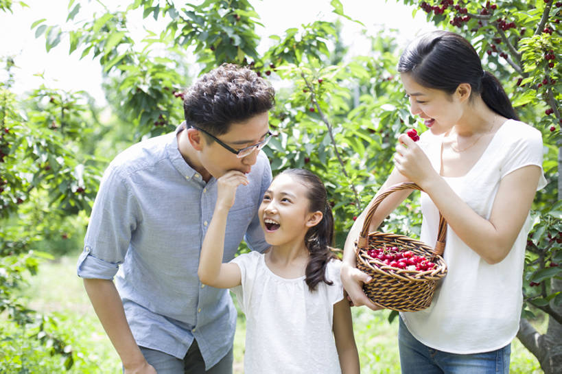 东方人,儿童,成年人,中年人,三个人,家庭,丈夫,妻子,父母,母亲,父亲,女儿,果园,农场,站,笑,吃,微笑,露齿笑,横图,室外,白天,正面,衬衫,旅游,度假,快乐,幸福,纯洁,合作,农业,采摘,美景,植物,樱桃,水果,北京,中国,亚洲,连接,弯腰,握,并排,工作,篮子,眼镜,景观,园艺,美味,食品,果树,饮品,玩,樱桃树,休闲装,娱乐,饮食,农庄,树,树叶,食物,饮料,小孩,红色,绿色,自然,夏天,站着,张嘴,享受,休闲,健康,温暖,温馨,一家人,面对面,短袖,景色,成熟,放松,季节,可爱,亲密,童年,童趣,喂,握着,摄影,有机食品,生长,生活方式,收获,环境,和睦,享乐,关爱,可口,清新,自然风光,亲情,户外活动,张大嘴巴,童真,东亚,烂漫,无邪,健康食物,陪同,适口,陪伴,无忧无虑,天真,男孩,男人,男性,年轻女性,女孩,女人,女性,中年男性,亚洲人,中国人,孩子,年轻人,情侣,张开嘴,休闲活动,站立,半身,彩图,欢乐,融洽,男生,开领,伴随,bj175