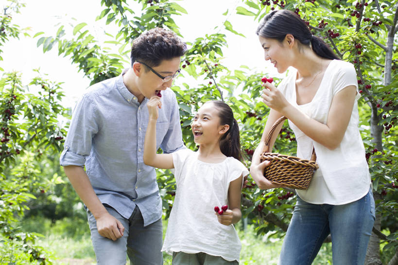 东方人,儿童,成年人,中年人,三个人,家庭,丈夫,妻子,父母,母亲,父亲,女儿,果园,农场,站,笑,吃,微笑,露齿笑,横图,室外,白天,正面,衬衫,旅游,度假,快乐,幸福,纯洁,合作,农业,采摘,美景,植物,樱桃,水果,北京,中国,亚洲,连接,弯腰,握,并排,工作,篮子,眼镜,景观,园艺,美味,食品,果树,饮品,玩,樱桃树,休闲装,娱乐,饮食,农庄,树,树叶,食物,饮料,小孩,红色,绿色,自然,夏天,站着,张嘴,享受,休闲,健康,温暖,温馨,一家人,面对面,短袖,景色,成熟,放松,季节,可爱,亲密,童年,童趣,喂,握着,摄影,有机食品,生长,生活方式,收获,环境,和睦,享乐,关爱,可口,清新,自然风光,亲情,户外活动,张大嘴巴,童真,东亚,烂漫,无邪,健康食物,陪同,适口,陪伴,无忧无虑,天真,男孩,男人,男性,年轻女性,女孩,女人,女性,中年男性,亚洲人,中国人,孩子,年轻人,情侣,张开嘴,休闲活动,站立,半身,彩图,欢乐,融洽,男生,开领,伴随,bj175