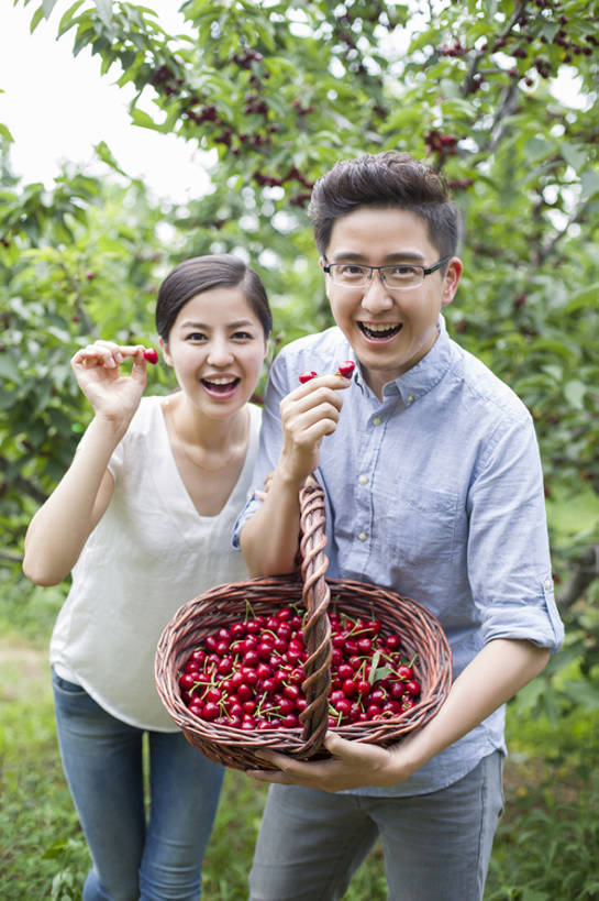 东方人,成年人,中年人,两个人,丈夫,妻子,果园,农场,笑,吃,微笑,露齿笑,竖图,室外,白天,正面,衬衫,爱情,旅游,度假,快乐,幸福,合作,农业,采摘,美景,植物,樱桃,水果,北京,中国,亚洲,连接,弯腰,握,工作,篮子,眼镜,景观,园艺,美味,食品,果树,饮品,浪漫,樱桃树,注视,休闲装,娱乐,饮食,农庄,树,树叶,食物,饮料,红色,绿色,自然,夏天,观察,看,站着,张嘴,享受,休闲,健康,温暖,温馨,短袖,景色,成熟,恩爱,放松,季节,亲密,握着,恋人,摄影,介绍,有机食品,生长,生活方式,收获,观看,环境,和睦,察看,享乐,关注,可口,清新,自然风光,肖像,出示,户外活动,张大嘴巴,东亚,健康食物,陪同,适口,陪伴,无忧无虑,男人,男性,年轻女性,女人,女性,中年男性,亚洲人,中国人,年轻人,情侣,张开嘴,彩图,欢乐,伴侣,融洽,开领,伴随,bj175