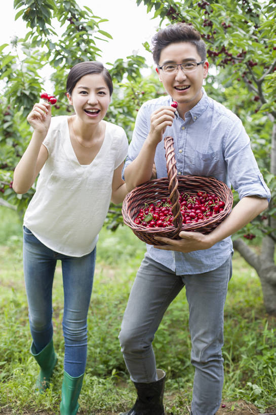 东方人,成年人,中年人,两个人,丈夫,妻子,果园,农场,笑,吃,微笑,露齿笑,竖图,室外,白天,正面,衬衫,爱情,旅游,度假,快乐,幸福,合作,农业,采摘,美景,植物,樱桃,水果,北京,中国,亚洲,连接,弯腰,握,工作,篮子,眼镜,雨鞋,雨靴,景观,园艺,美味,食品,果树,饮品,浪漫,樱桃树,注视,休闲装,娱乐,饮食,农庄,草,树,树叶,食物,饮料,红色,绿色,自然,夏天,观察,看,站着,张嘴,享受,休闲,健康,温暖,温馨,短袖,景色,成熟,恩爱,放松,季节,亲密,握着,恋人,摄影,介绍,有机食品,生长,生活方式,收获,观看,环境,和睦,察看,享乐,关注,可口,清新,自然风光,肖像,出示,户外活动,张大嘴巴,东亚,健康食物,陪同,适口,陪伴,无忧无虑,男人,男性,年轻女性,女人,女性,中年男性,亚洲人,中国人,年轻人,情侣,张开嘴,彩图,全身,欢乐,伴侣,融洽,开领,伴随,bj175