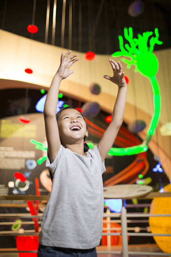 东方人,儿童,血管,一个人,博物馆,站,举,笑,微笑,露齿笑,竖图,室内,正面,快乐,幸福,纯洁,神秘,北京,中国,亚洲,仅一个女性,仅一个人,行人,游客,游人,科学,光,首都,玩,休闲装,现代,路人,旅客,小孩,看,托,向上看,站着,仅一个小孩,休闲,短袖,放松,可爱,乐趣,探索,童年,童趣,摄影,生长,生活方式,享乐,拜访,童真,东亚,烂漫,无邪,中华人民共和国,北京市,京,北平,华北地区,朝阳区,过客,无忧无虑,天真,男孩,男人,男性,女孩,女人,女性,亚洲人,中国人,孩子,举起,举手,举着,向上举,向上伸,向上托,仰头,站立,彩图,旅行,欢乐,中国科学技术馆,男生,女生,中国科技馆,好奇心,bj175