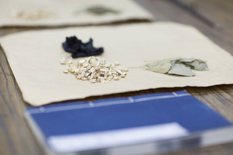 无人,横图,室内,植物,静物,北京,中国,亚洲,药,草药,药草,传统,中药,树叶,笔记本,摄影,药房,甘草,医疗,中国文化,药材,中草药,干的,剂量,东亚,中药材,本草,替代疗法,书,银杏,彩图,熟地黄,传统文化,成分,bj175