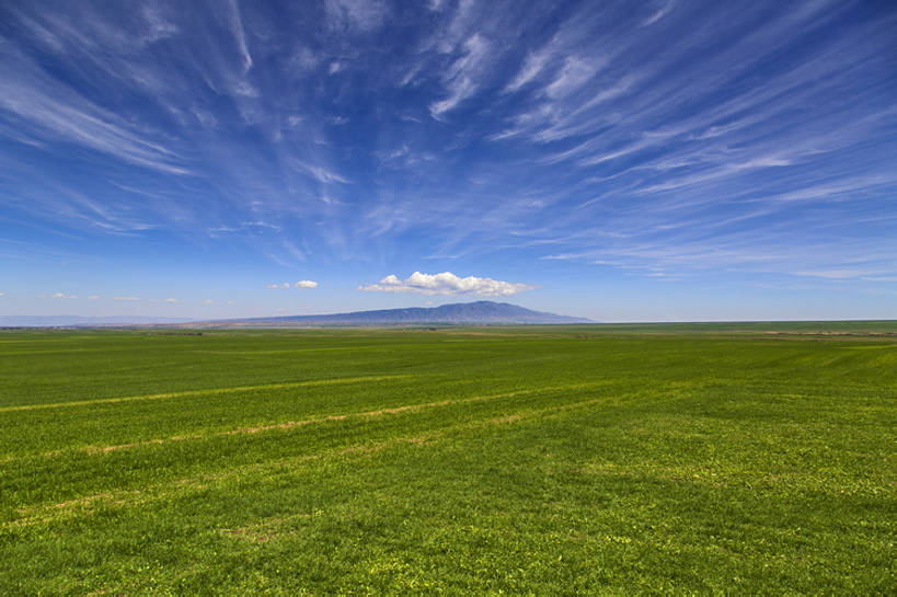 无人,横图,室外,白天,旅游,度假,农业,草地,草原,美景,山,山脉,植物,中国,亚洲,地形,景观,陆地,田地,云,地面,云层,娱乐,草,蓝色,绿色,风景,天空,自然,平原,享受,休闲,景色,放松,摄影,宁静,环境,生态,自然风光,自然现象,东亚,地貌,甘肃省,丝绸之路,张掖,自然地理,彩图,旅行,祁连山,广角,bj175
