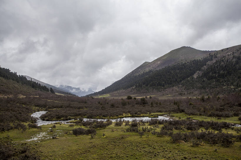 无人,横图,室外,白天,旅游,度假,草地,河流,美景,山,山脉,水,植物,多云,中国,亚洲,曲折,地形,河道,景观,云,山谷,云层,河床,娱乐,西藏,草,树,绿色,风景,天空,小溪,自然,平原,享受,休闲,景色,放松,摄影,宁静,环境,自然风光,东亚,西藏自治区,地貌,坎坷,崎岖,地质学,自然地理,彩图,旅行,bj175