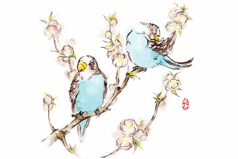 无人,横图,插画,抠图,白色背景,旅游,度假,数码,科技,美景,桃花,鸟,鹦鹉,羽毛,阴影,网络,鸟类,标志,景观,办公用品,一对,高光,几何,计算机图形,合成,图画,娱乐,传统,画,文具,花,花朵,树枝,蓝色,自然,动物,春天,两只,享受,休闲,景色,放松,可爱,活泼,印章,办公设备,文具用品,电脑合成图,数码合成图,图章,合成图,中国文化,自然风光,国画,漫画,签署,写实,具体,具象,文化工具,观赏鸟,爱情鸟,鉴定,牡丹鹦鹉,情侣鹦鹉,红牡丹鹦鹉,蜡嘴鹦鹉,画画,伴侣,传统文化,插图,bj175