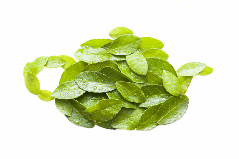 无人,横图,特写,留白,抠图,白色背景,茶,静物,北京,中国,亚洲,许多,湿,形状,茶叶,很多,树叶,绿色,自然,茶壶,休闲,概念,放松,摄影,宁静,创造力,高雅,简单,清新,东亚,纯净,构图,想法,设计,彩图,影棚拍摄,点滴,bj175