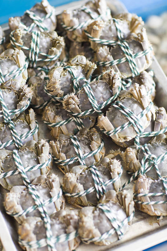 无人,竖图,静物,北京,中国,亚洲,许多,捆扎,螃蟹,生食,美味,食品,很多,捆,饮食,排列,动物,绳子,中国菜,摄影,清新,大闸蟹,东亚,健康食物,阳澄湖,甲壳动物,彩图,淡水蟹,bj175