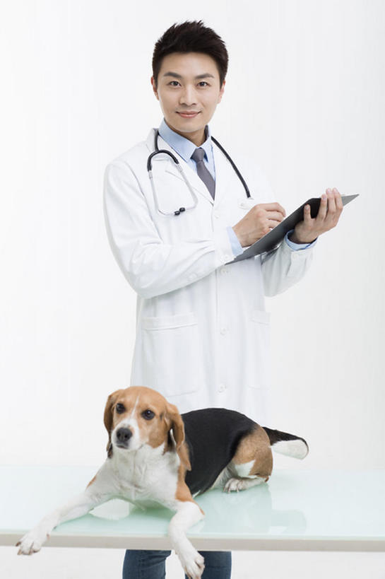 东方人,成年人,一个人,医生,兽医,微笑,竖图,留白,正面,衬衫,快乐,幸福,纯洁,信心,桌子,宠物,狗,北京,中国,亚洲,仅一个男性,仅一个人,写,灰色背景,检查,工作,办公用品,领带,注视,现代,文具,仅一个年轻男性,一只,动物,听诊器,学习用品,观察,看,站着,职业,家畜,可爱,亲密,童年,童趣,摄影,生活方式,观看,写字板,文具用品,体检,察看,医疗,享乐,关爱,关注,童真,东亚,烂漫,无邪,实验服,天真,男人,男性,年轻男性,亚洲人,中国人,年轻人,彩图,影棚拍摄,欢乐,小猎犬,体格检查,bj175