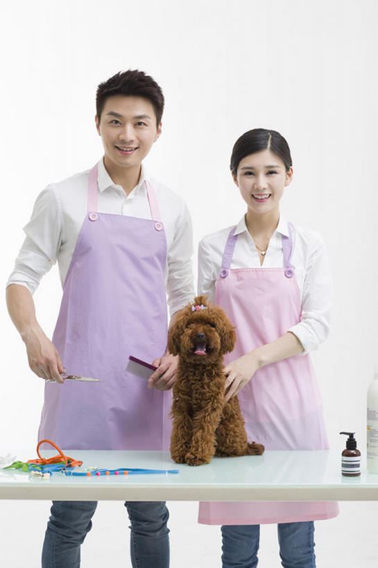 东方人,成年人,两个人,笑,微笑,露齿笑,竖图,留白,正面,衬衫,快乐,幸福,信心,桌子,宠物,狗,北京,中国,亚洲,握,灰色背景,并排,工作,剪刀,围裙,梳子,注视,现代,一只,动物,观察,看,站着,职业,家畜,亲密,服务,握着,摄影,生活方式,观看,察看,享乐,关爱,关注,贵妇犬,切断,合伙,东亚,陪同,陪伴,店主,男人,男性,年轻男性,年轻女性,女人,女性,亚洲人,中国人,年轻人,彩图,影棚拍摄,欢乐,宠物商店,宠物美容师,伴随,bj175