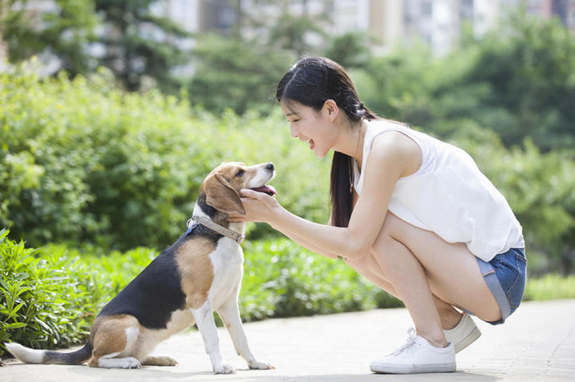 东方人,成年人,一个人,蹲,笑,微笑,露齿笑,横图,室外,白天,侧面,快乐,幸福,纯洁,植物,路,宠物,狗,北京,中国,亚洲,仅一个年轻女性,仅一个女性,仅一个人,漫步,短裤,人行道,小路,玩,注视,休闲装,现代,树,一只,绿色,动物,夏天,观察,看,张嘴,休闲,面对面,家畜,放松,活力,可爱,亲密,童年,童趣,摄影,生活方式,观看,察看,享乐,关爱,关注,张大嘴巴,童真,东亚,狗链,烂漫,无邪,陪同,陪伴,无忧无虑,天真,年轻女性,女人,女性,亚洲人,中国人,年轻人,张开嘴,休闲活动,触摸,彩图,全身,欢乐,小猎犬,伴随,bj175