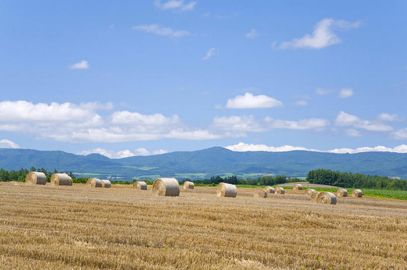 白天,旅游,度假,美景,亚洲,地形,景观,干草,娱乐,风景,天空,自然,草垛,夏天,享受,休闲,景色,放松,收获,自然风光,干草垛,彩图,bj175