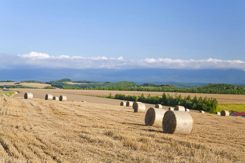 白天,旅游,度假,美景,亚洲,地形,景观,干草,娱乐,风景,天空,自然,草垛,夏天,享受,休闲,景色,放松,收获,自然风光,干草垛,彩图,bj175