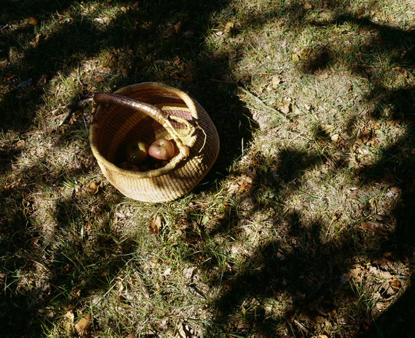 俯视,室外,白天,苹果,水果,法国,欧洲,粉末,篮子,粉,粉状,粉剂,多尔多涅,彩图,高角度拍摄,bj175