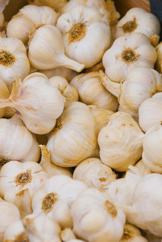 无人,竖图,蔬菜,静物,许多,丰富,干燥,调料,生食,香料,食品,很多,摄影,有机食品,蒜瓣,健康食物,大蒜,彩图,全画面,全框架,全帧,全画幅,bj175