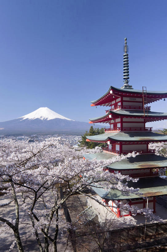 无人,寺庙,竖图,室外,白天,旅游,度假,复古,美景,名胜古迹,山,雪,雪山,樱花,富士山,日本,覆盖,地形,景观,山顶,古典,娱乐,宝塔,花,风景,天空,自然,春天,享受,休闲,景色,放松,摄影,宁静,神殿,自然风光,古典风格,彩图,旅行,富士,bj175