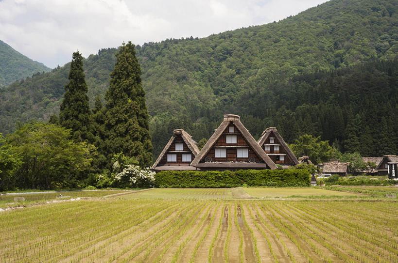 无人,农场,横图,室外,白天,背景,旅游,度假,美景,森林,日本,稻田,地形,景观,田地,文化遗产,乡村,历史,娱乐,世界遗产,风景,自然,享受,休闲,景色,放松,摄影,建造,横梁,宁静,自然风光,地貌,岐阜县,横杆,罕见,荒僻,偏僻,偏远,遥远,冷僻,彩图,小木屋,联合国教科文组织,白川,bj175