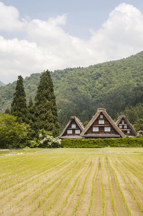 无人,农场,竖图,室外,白天,背景,旅游,度假,美景,森林,日本,稻田,地形,景观,田地,文化遗产,乡村,历史,娱乐,世界遗产,风景,自然,享受,休闲,景色,放松,摄影,建造,横梁,宁静,自然风光,地貌,岐阜县,横杆,罕见,荒僻,偏僻,偏远,遥远,冷僻,冒险,彩图,小木屋,联合国教科文组织,白川,bj175